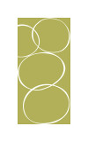 Pistacho II Lámina giclée por Denise Duplock Pistacho II Lámina giclée por Denise Duplock