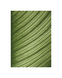 Cannis Veins Giclee Print by Jenny Kraft