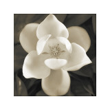 Southern Charm Lámina giclée