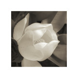 Gracia sureña Lámina giclée Gracia sureña Lámina giclée