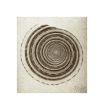 Sundial Shell Giclee Print by Mandolfo 