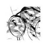 Silver Dollars VII Giclee Print by Erin Clark