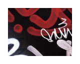 Red Black Tag II Lámina giclée por Jenny Kraft