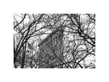 Veiled Flatiron Building Giclee Print by Erin Clark