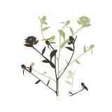 Something in the Air Wydruk giclee autor Erin Clark