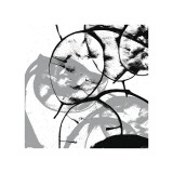 Silver Dollars V Giclee Print by Erin Clark