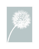 Dandelion Tilt (blue) Giclee Print by Jenny Kraft