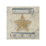 El diario de la estrella de mar Lámina giclée por Leslie Mueller