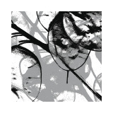 Silver Dollars VIII Giclée-tryk af Erin Clark