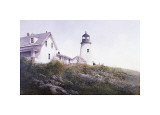 Gulls at Pemaquid reproduction procédé giclée par Ray Hendershot