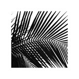 Palms, no. 10 (detail) Giclee Print by Jamie Kingham