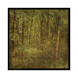 Fog in Mountain Trees Lámina giclée por John Golden