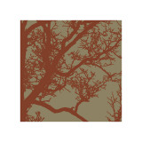 Cinnamon Tree IV Giclee Print by Erin Clark