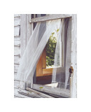 Southern Breeze Giclee Print