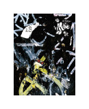 Black Bee Tag reproduction procédé giclée par Jenny Kraft