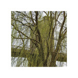 Veiled Brooklyn Bridge (detail) Giclee Print by Erin Clark