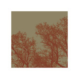 Cinnamon Tree I Giclee Print by Erin Clark