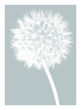 Dandelion (blue) Lámina giclée por Jenny Kraft