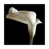 Lily Lámina giclée por Michael Harrison Lily Lámina giclée por Michael Harrison