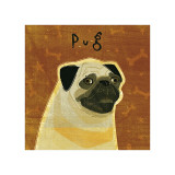 Pug Giclee Print by John Golden