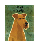 Irish Terrier Lámina giclée por John Golden Irish Terrier Lámina giclée por John Golden