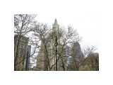 Woolworth Building from City Hall Park Giclee Print by Erin Clark