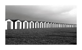 Your Place or Mine Lámina giclée por Gill Copeland