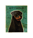 Rottweiler Impressão giclée por John Golden Rottweiler Impressão giclée por John Golden