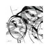 Silver Dollars VII Lámina giclée por Erin Clark Silver Dollars VII Lámina giclée por Erin Clark