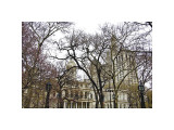 City Hall Giclee Print by Erin Clark