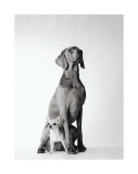 Max and Roxie Lámina giclée por Amanda Jones Max and Roxie Lámina giclée por Amanda Jones