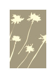 Pompom Walnut Lámina giclée por Denise Duplock