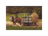 Amish Harvest Giclee Print by Kathleen Green