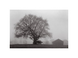 Pleasant Hill Giclee Print by Jim Morris