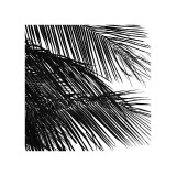 Palms, no. 4 (detail) Giclee Print by Jamie Kingham