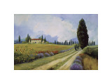 Holiday in Tuscany reproduction procédé giclée par Hawley 