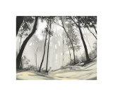 Black Forest Giclee Print by S. Garrett