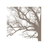 Majesty III Giclee Print by Erin Clark