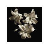 Three Lilies Lámina giclée por Michael Harrison Three Lilies Lámina giclée por Michael Harrison