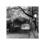Central Park Pergola Giclee Print by Erin Clark Central Park Pergola Giclee Print by Erin Clark
