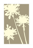 Pompom Brule Lámina giclée por Denise Duplock Pompom Brule Lámina giclée por Denise Duplock