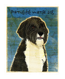 Portuguese Water Dog Giclee Print by John Golden Portuguese Water Dog Giclee Print by John Golden