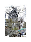 Flatiron Collage Lámina giclée por Erin Clark