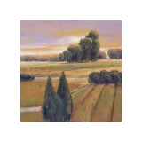 Summer Cypress Giclee Print by Langford 