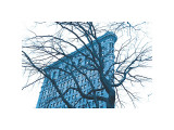 Blue Flatiron Giclee Print by Erin Clark