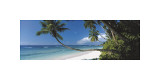 Anse Severe, Seychelles Giclee Print by David Noton