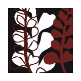 Maidenhair on Black Ground Lámina giclée por Denise Duplock