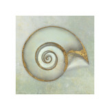 Neptune's Garden I Giclee Print by Bert Myers