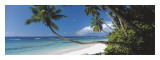 Anse Severe, Seychelles Giclee-vedos tekijänä David Noton