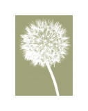 Dandelion (khaki) Giclee Print by Jenny Kraft